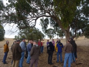 Attendees at a UGLN Mistletoe field day