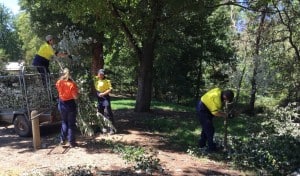 Removing woody weeds along the UT Creek in Alexandra.