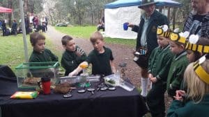 Middle Kinglake PS topic was "Insects"