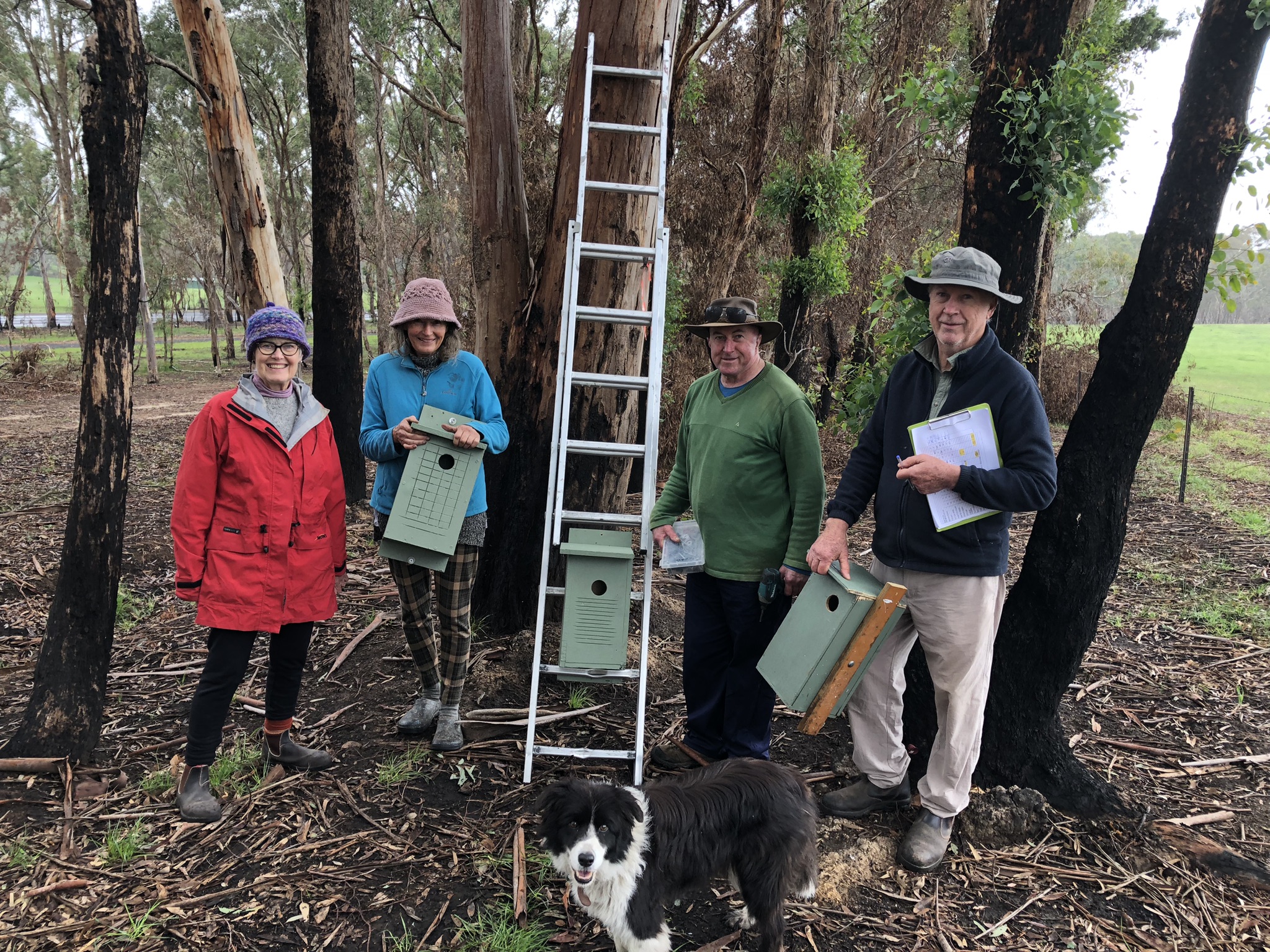 Installing nesting boxes