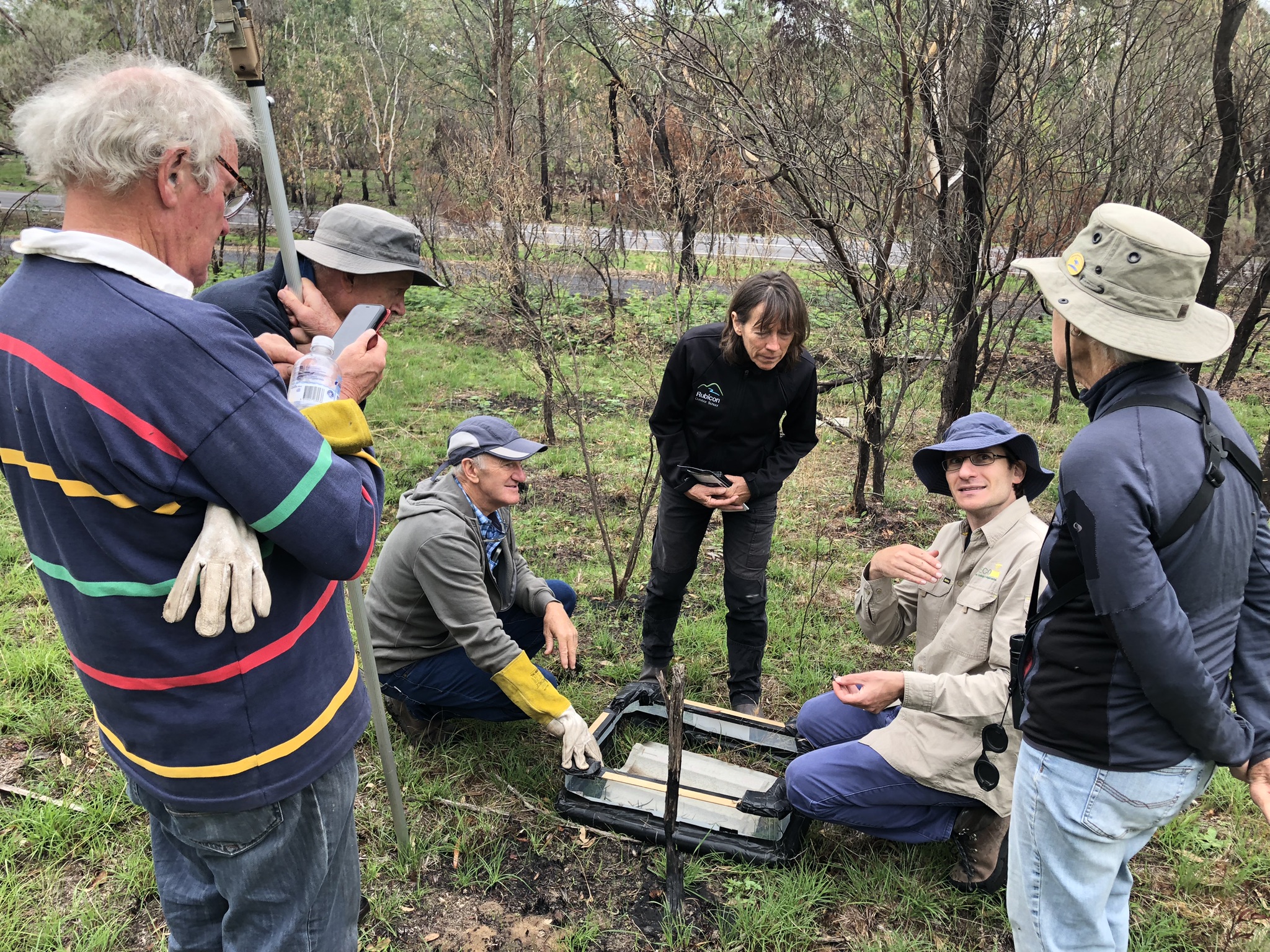 Reptile Survey at Merton Rail Trail