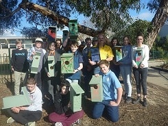 YHS nest boxes 2