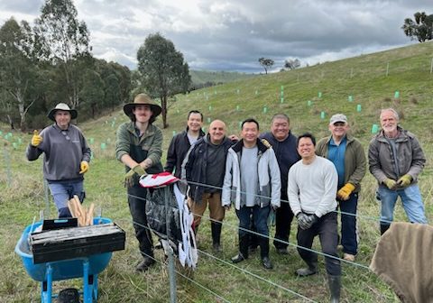 Koala Project Planting